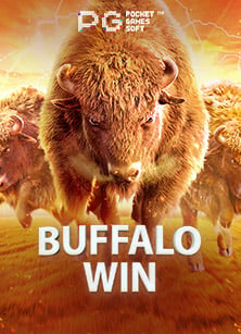 คาสิโน มาเก๊า มีอะไรบ้าง กับตำนานวงล้อแห่งโชคชะตา